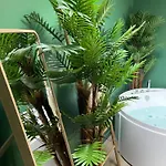 Διαμέρισμα Evasion Exotique - Selva - Jaccuzzi Privatif Αμιάν