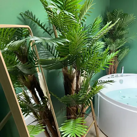 Διαμέρισμα Evasion Exotique - Selva - Jaccuzzi Privatif Αμιάν
