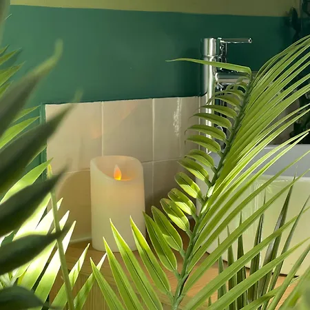 Evasion Exotique - Selva - Jaccuzzi Privatif Διαμέρισμα Αμιάν