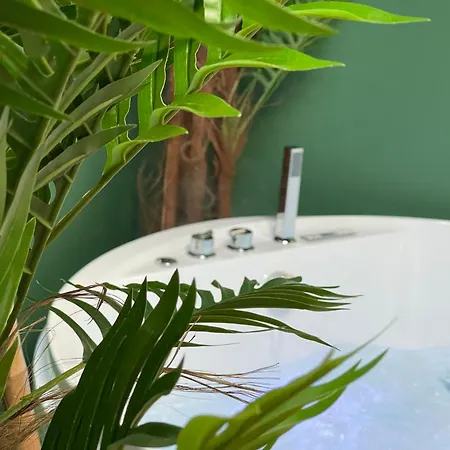 Evasion Exotique - Selva - Jaccuzzi Privatif * Αμιάν