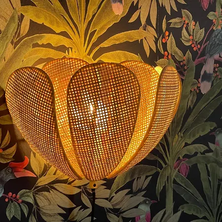 Evasion Exotique - Selva - Jaccuzzi Privatif Lägenhet *